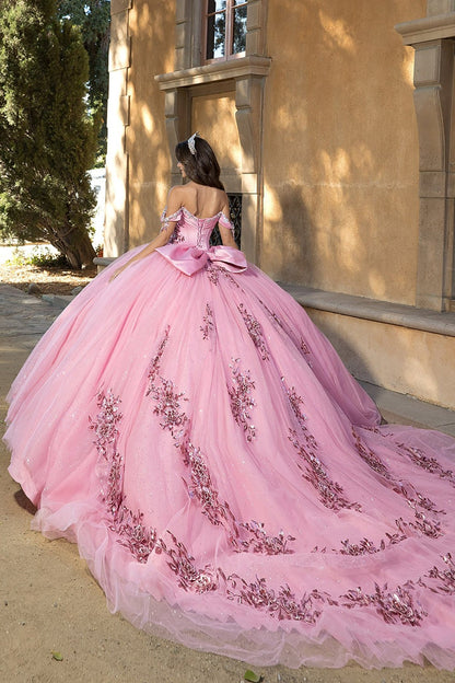 Pink ball gown with floral details and long train worn by a girl standing in front of a building.