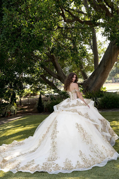 Back full view of woman in tulle ball gown with off-shoulder sleeves and gold appliqué corset outdoors.