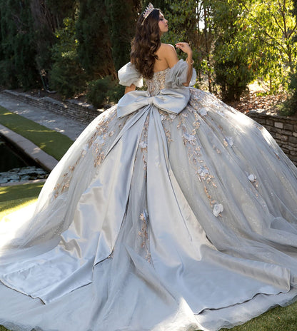 Quinceanera | Gray and Gold Ball Gown with Detachable Big Bow | Yaritza dress back view