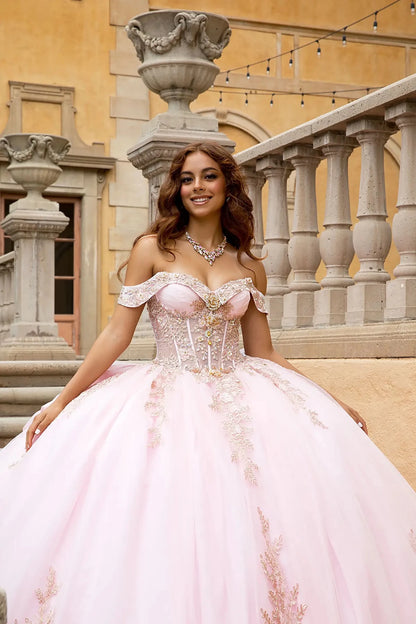 Close up portrait of quinceañera gown on a classical stone staircase. The image highlights the expansive glitter tulle ball gown skirt with rose gold floral embroidery and shimmering lace appliqués cascading toward the hem.