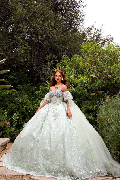 Quinceañera | Sage Multi-Color 3D Floral Ball Gown with Drape Wings Sleeves and Sweep Train | Arely dress front whole view