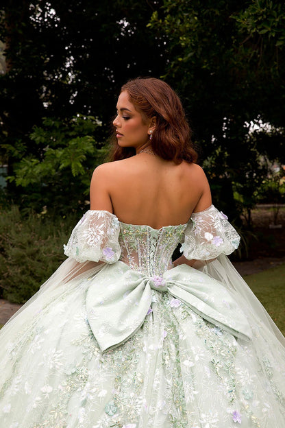 Quinceañera | Sage Multi-Color 3D Floral Ball Gown with Drape Wings Sleeves and Sweep Train | Arely dress back zoom