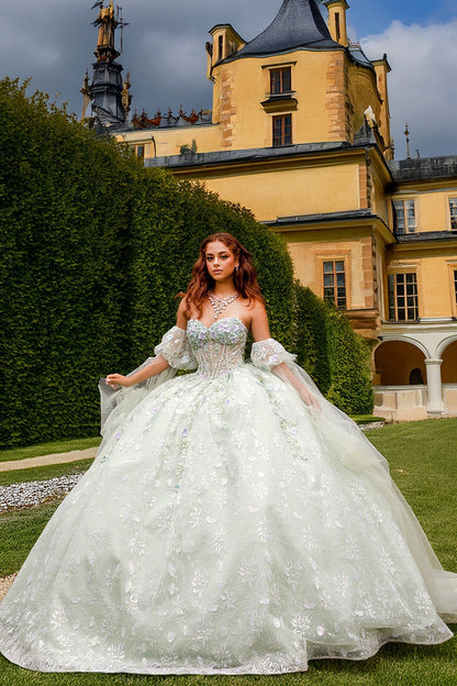 Quinceañera | Sage Multi-Color 3D Floral Ball Gown with Drape Wings Sleeves and Sweep Train | Arely dress front with castle
