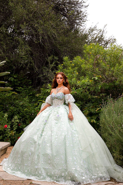 Quinceañera | Sage Multi-Color 3D Floral Ball Gown with Drape Wings Sleeves and Sweep Train | Arely dress front whole view