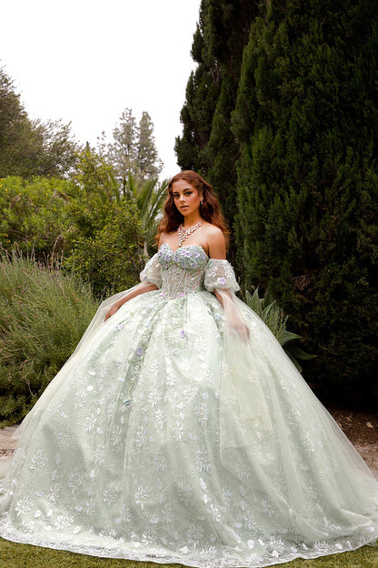 Quinceañera | Sage Multi-Color 3D Floral Ball Gown with Drape Wings Sleeves and Sweep Train | Arely dress side view