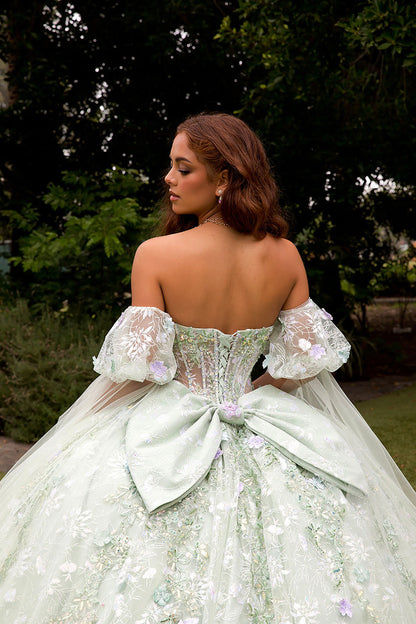 Quinceañera | Sage Multi-Color 3D Floral Ball Gown with Drape Wings Sleeves and Sweep Train | Arely dress back zoom