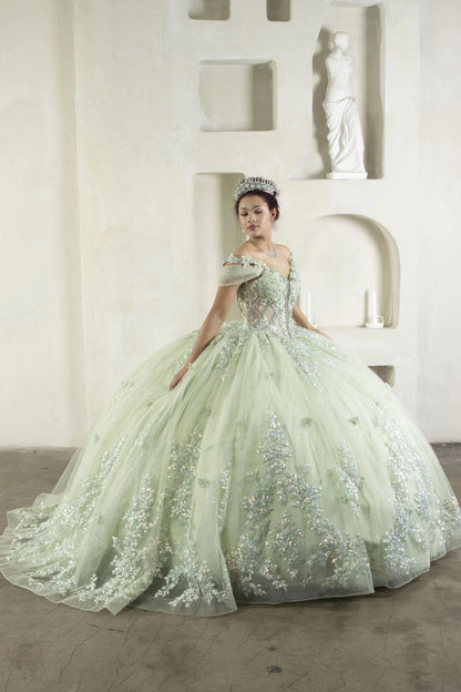 Woman in a light green ball gown with floral embroidery in an indoor setting.