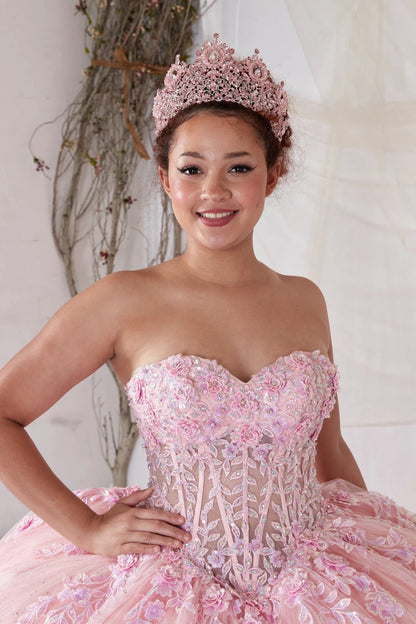 A close-up of the upper bodice of a blush quinceañera dress, richly adorned with embroidery and rhinestones. It features a sheer, see-through bodice with intricate embellishments covering the entire design.