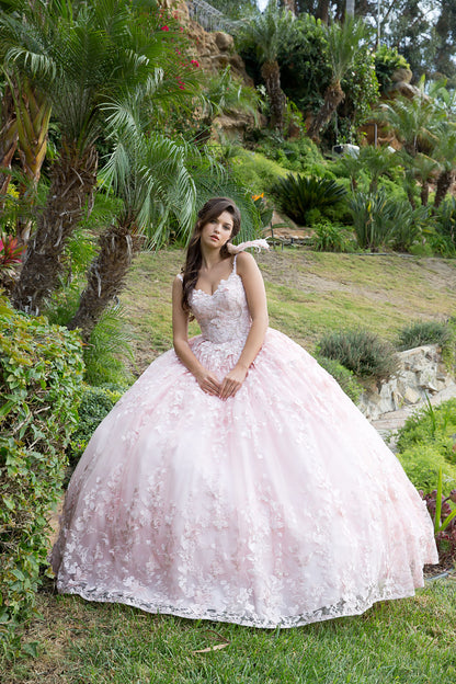 Quinceanera | Blush 3D Butterfly Glitter Quince dress with Stunning Cape | Aida dress | 2 Colors Available front