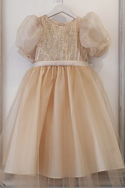 puff sleeve champagne glittering sequin  flower girl dress on a white background