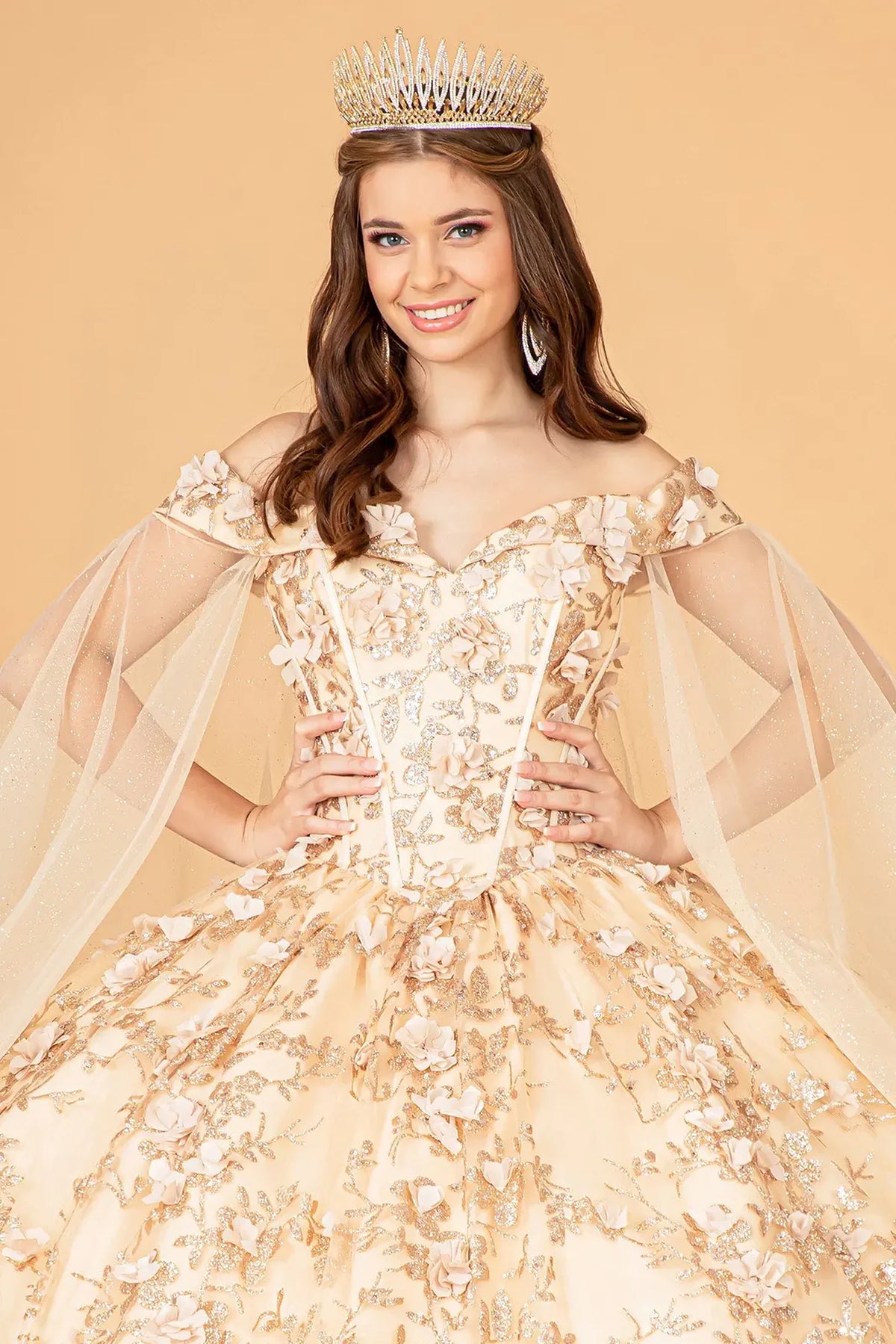 Full-length view presents the Champagne quinceañera ball gown with 3d floral appliqués.