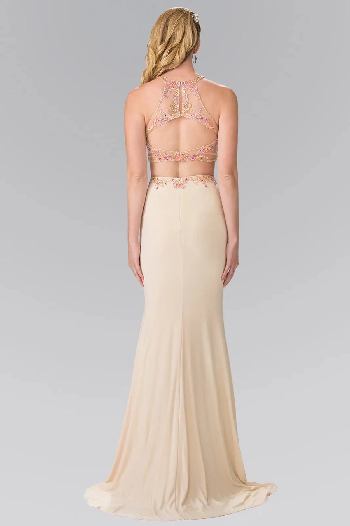 Champagne prom evening dress full back with back detail