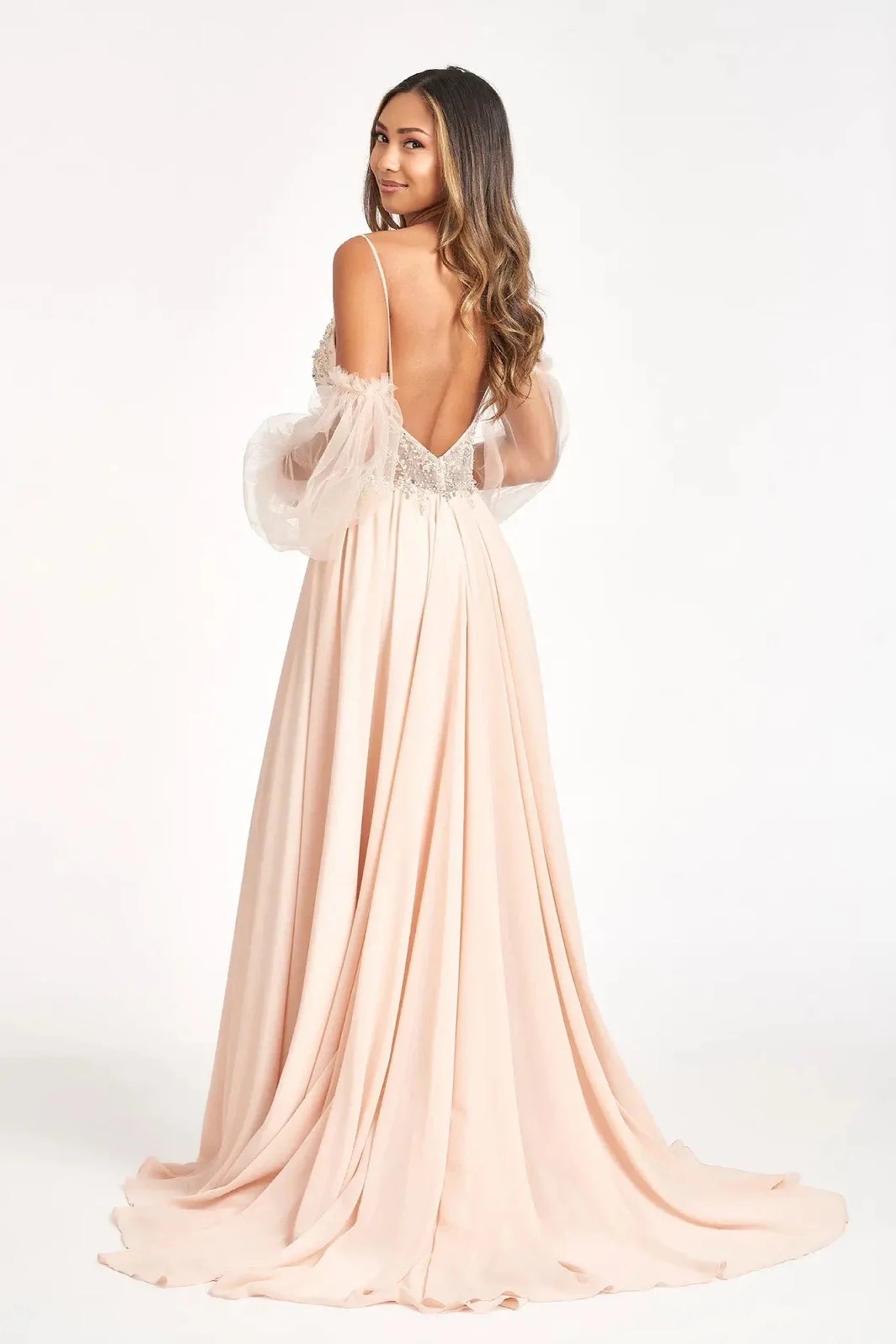 Champagne chiffon detachable sleeve mother of the bride dress full back view