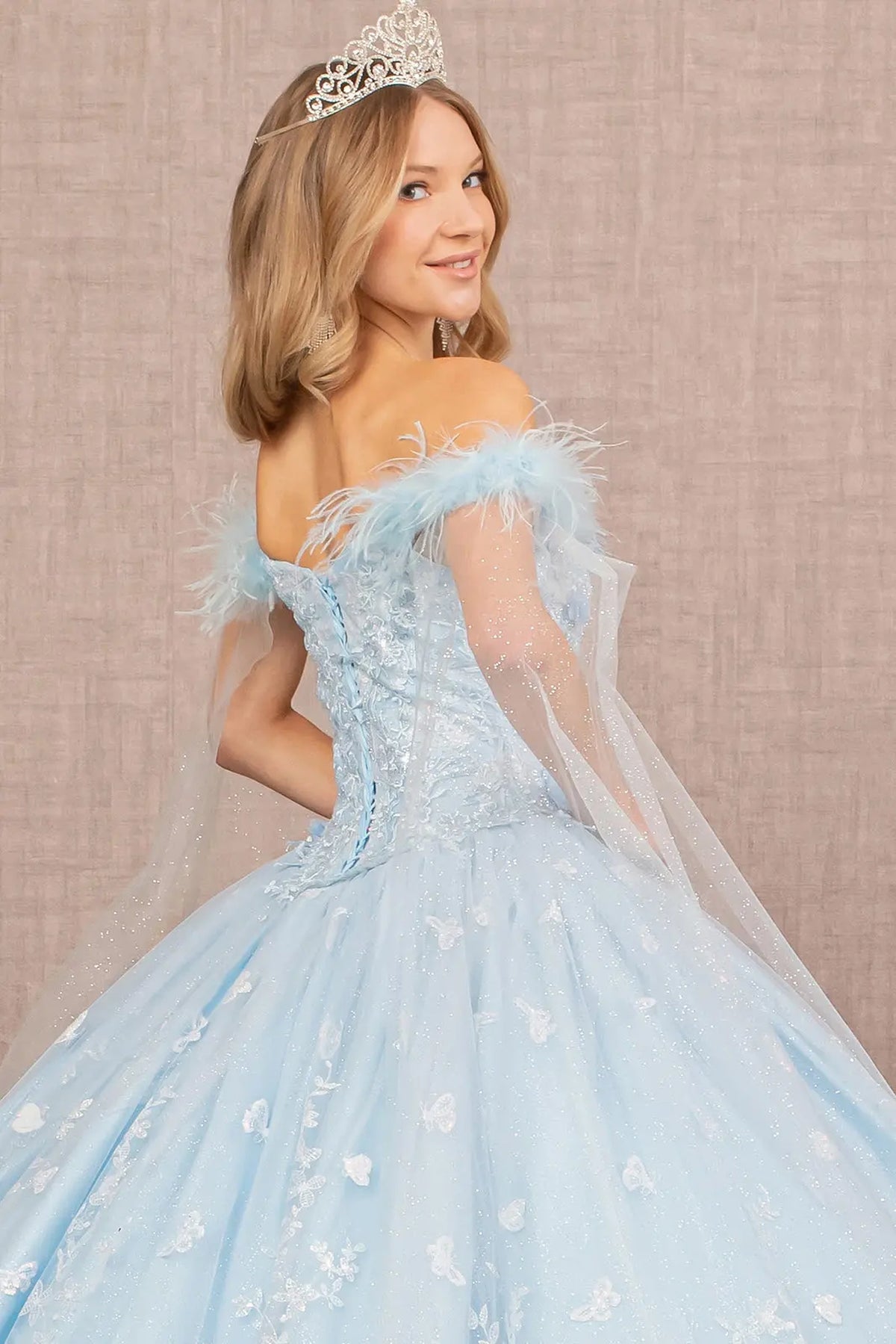 Embroidered details frame the Baby Blue quinceañera ball gown with feather trim.