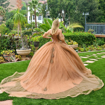 Gold Brown Quinceañera Dress with Lace Glitter Mesh Skirt XL / Brown