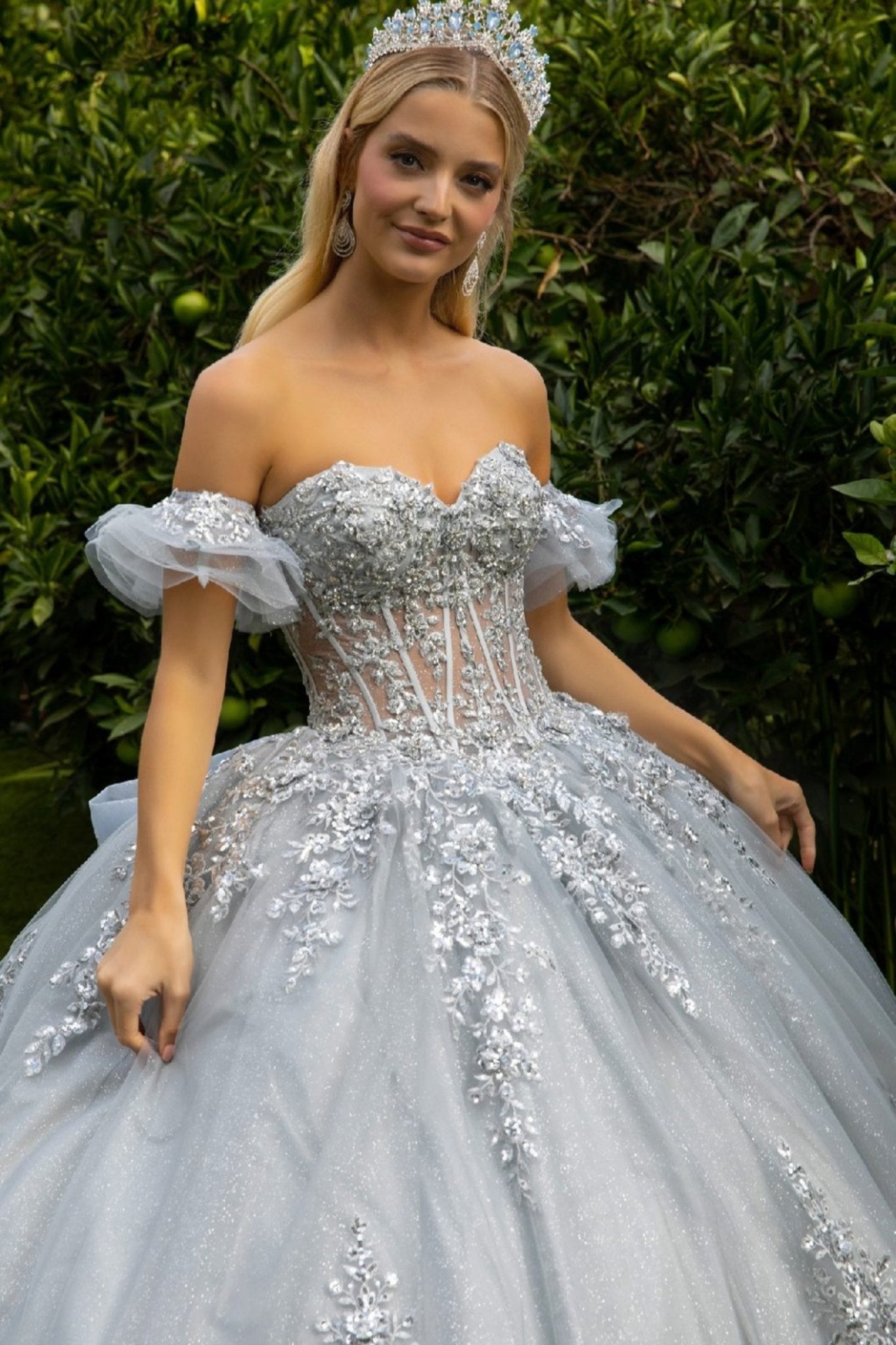 Silver quinceanera Ball Gown with 3d embroidery, rhinestones and see though corset