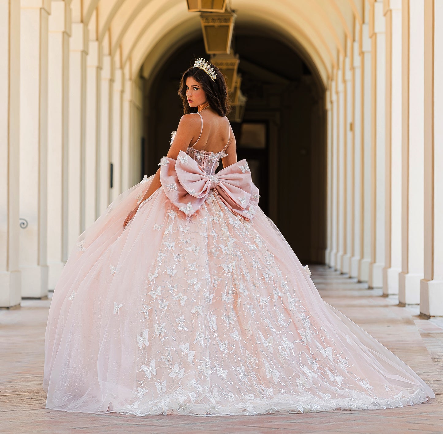 Quinceañera | Blush Corset Bodice Two-tone Butterfly Ballgown | Laia dress | 2 Colors Available back