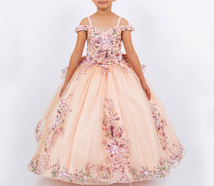 Peach-Blush 3D Beaded Flowers Applique Off-the-shoulder Glitter Tulle with Train 3-Anos Ball Gown Dress front view