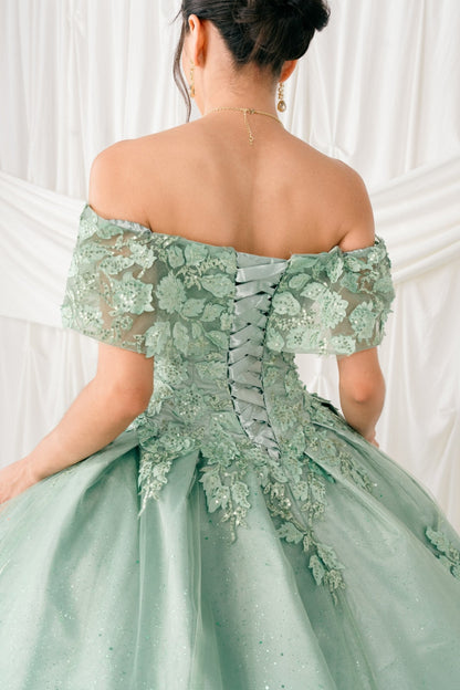 Mint green off-shoulder lace dress with a white background