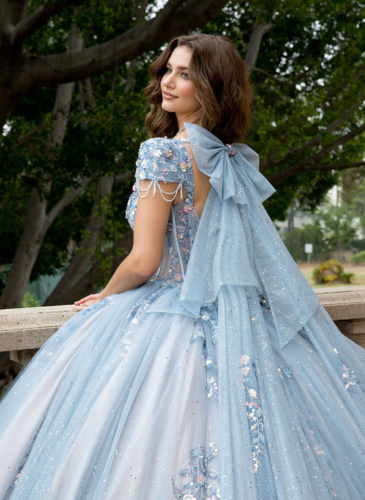 Woman in a light blue, ornate dress with a large bow sitting outdoors.