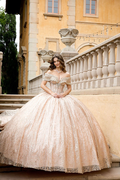 Woman in a rose gold dress standing on stone steps with classical architecture in the background