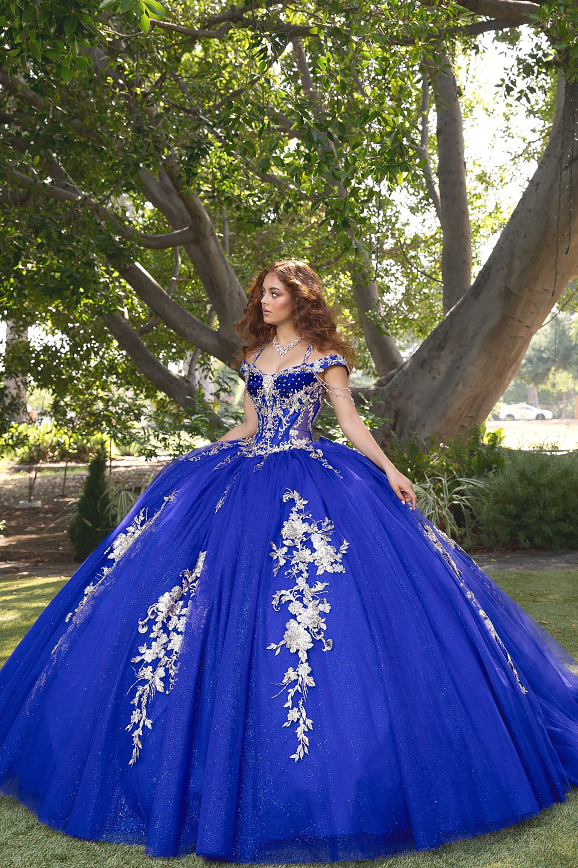 Woman in a blue ball gown with floral embroidery standing outdoors under a tree.