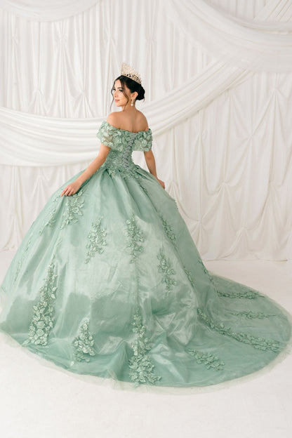Woman in a light green ball gown with floral details against a white background