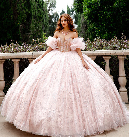 Quinceanera | Blush Glitter Tulle Gown with Detachable Puff Ruffle Sleeve (Arm) and Cathedral Train | Anais dress