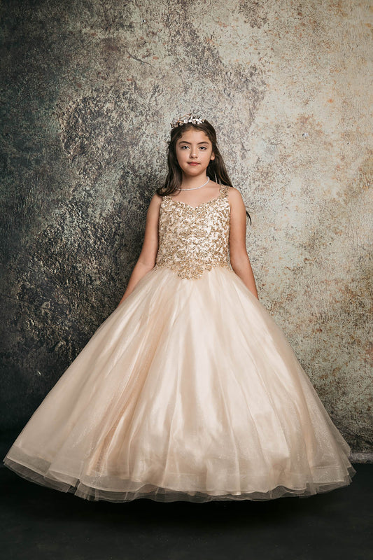 Mini Quince | Champagne Princess Sequin Beaded Embroidery Bodice with Glitter Tulle Skirt Kid Dress | Camila dress | 3 Colors Available front