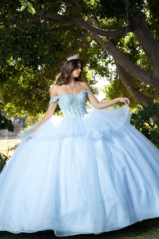 girl in a cinderella princess-inspired quinceañera dress. The bodice is fully embellished with rhinestones