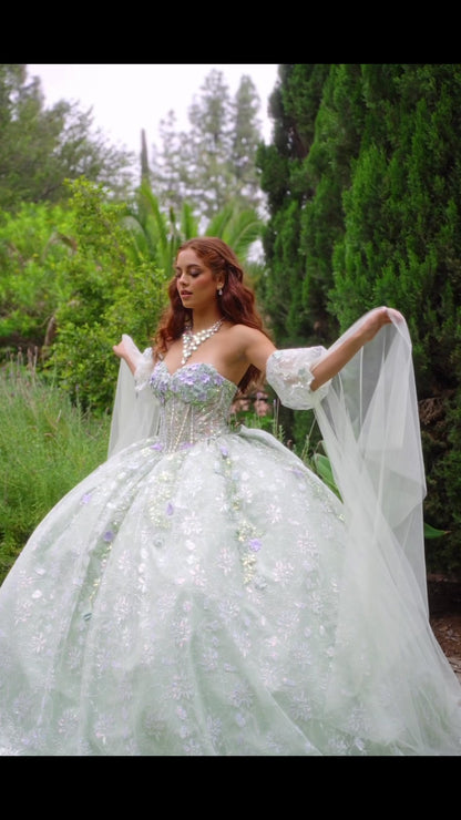 Quinceañera | Sage Multi-Color 3D Floral Ball Gown with Drape Wings Sleeves and Sweep Train | Arely dress