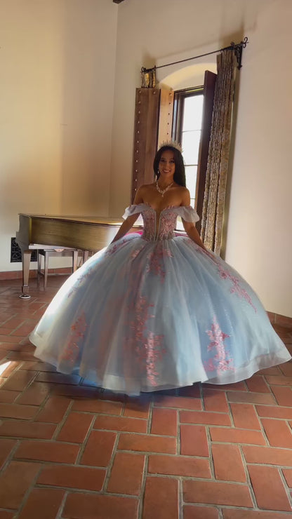 Quinceanera | Blue Pink See-through 3D Flowers, Embroidery, Bead bodice and Glitter Tulle Ballgown | Fernanda dress | 2 Colors Available VIDEO 