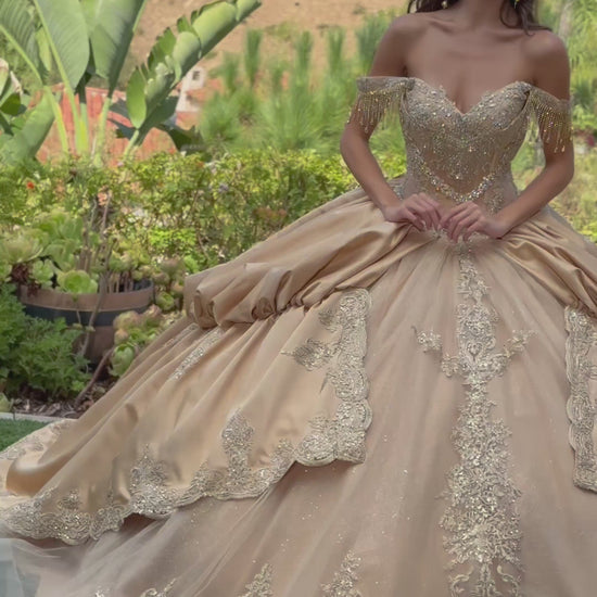 video of girl in a beige ball gown with intricate detailing standing outdoors in a garden and wearing tiara