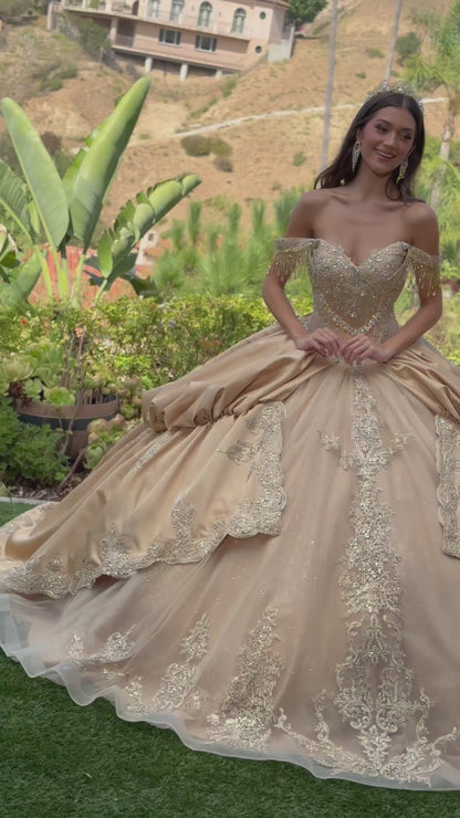 video of girl in a beige ball gown with intricate detailing standing outdoors in a garden and wearing tiara