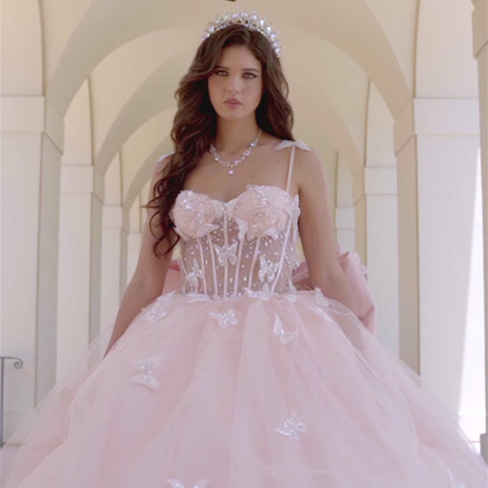 Quinceañera | Blush Corset Bodice Two-tone Butterfly Ballgown | Laia dress | 2 Colors Available video