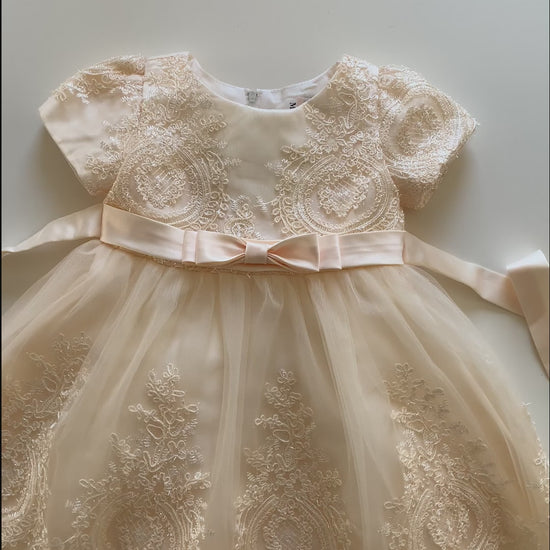 Champagne Baby Elegant Embroidered Top with Sleeves Tulle Dress - Video