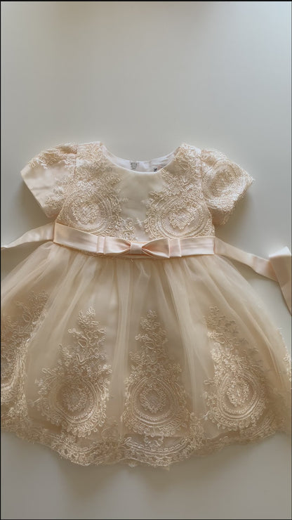 Champagne Baby Elegant Embroidered Top with Sleeves Tulle Dress - Video