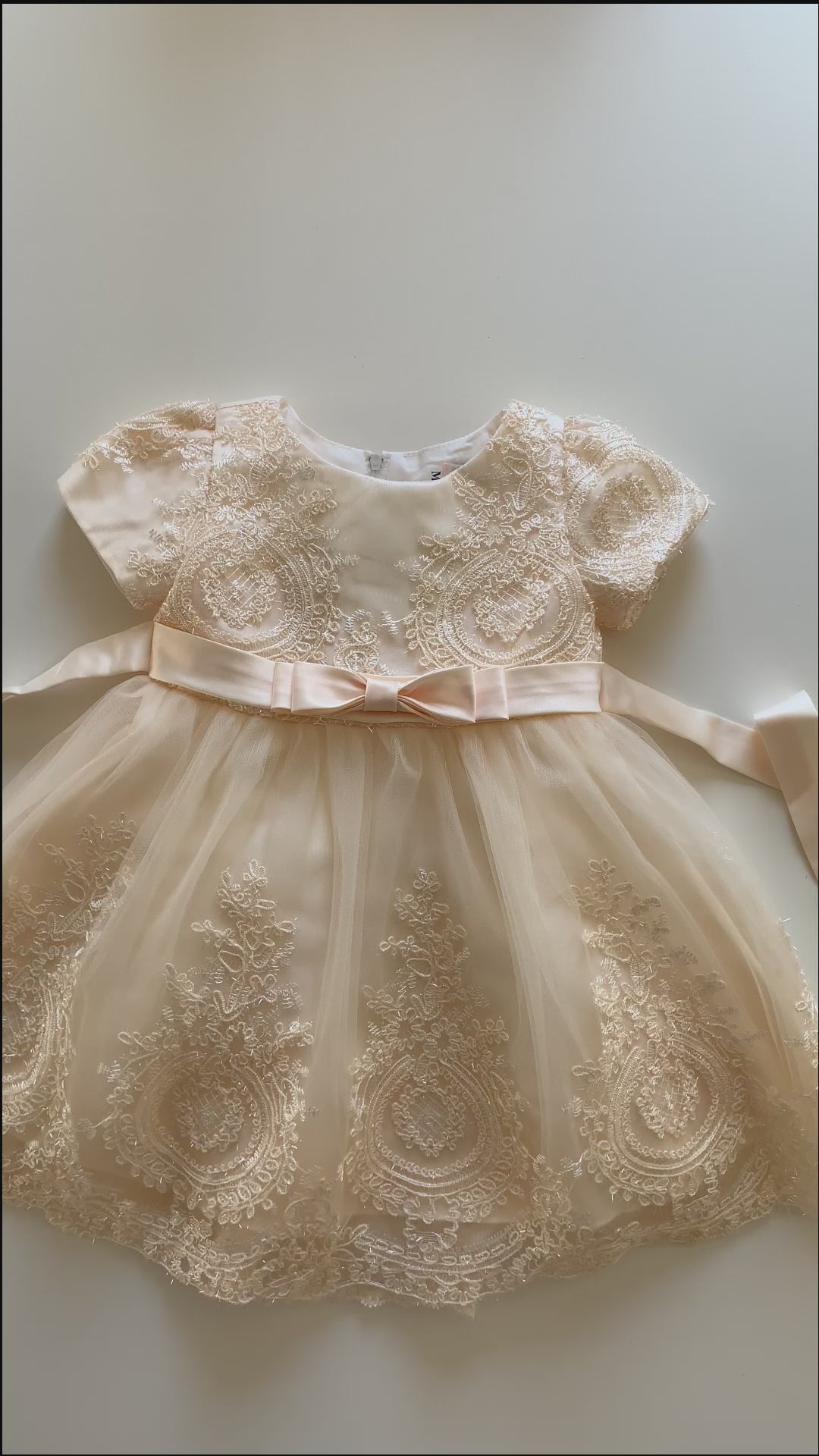 Champagne Baby Elegant Embroidered Top with Sleeves Tulle Dress - Video