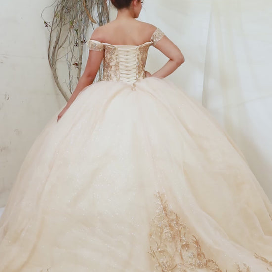 Video of Champagne Quinceañera Dress with Gold Embroidered and Glitter Tulle Overlay Skirt
