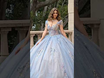 Blue Quinceañera Dress with Sequin Corset, Glitter Tulle and Cathedral Train