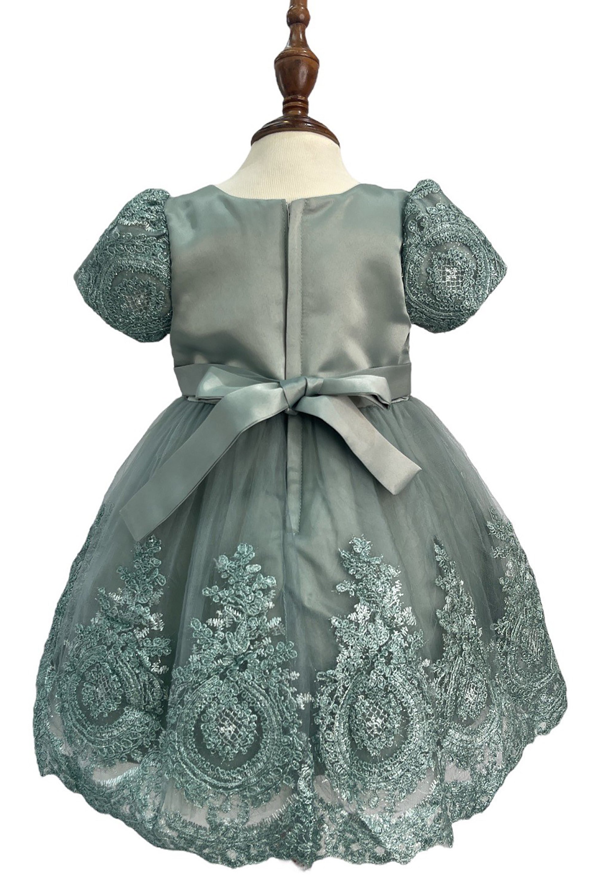 Sage Baby Elegant Embroidered Top with Sleeves Tulle Dress - back view