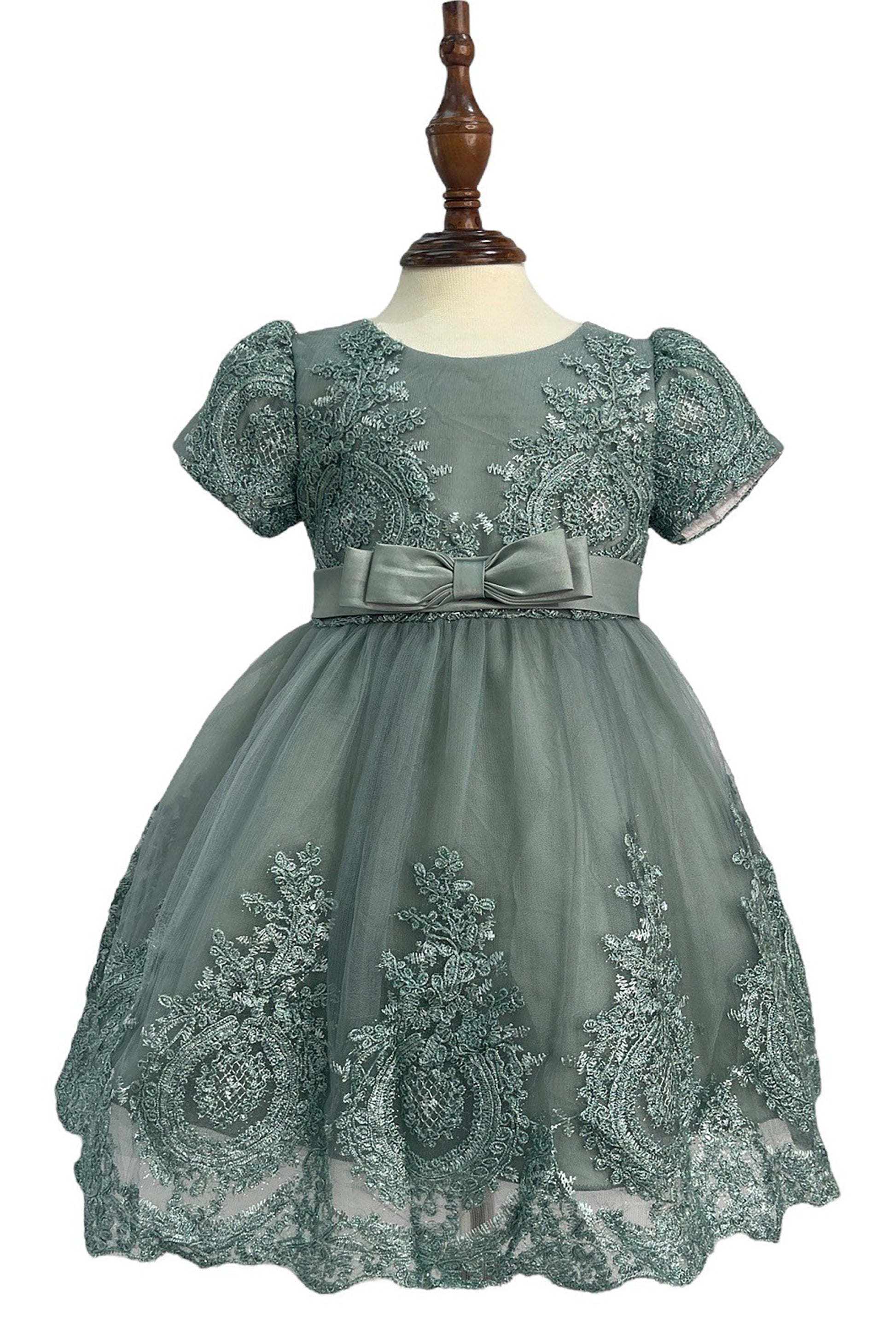 Sage Baby Elegant Embroidered Top with Sleeves Tulle Dress - front view