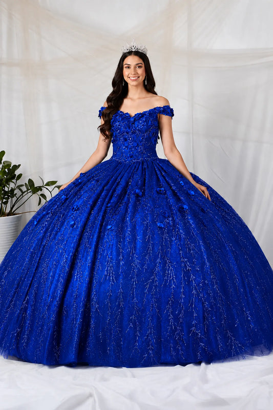 Front view of a royal blue quinceanera dress with 3D floral appliques, glittered fabric, and detachable sheer flowing cape