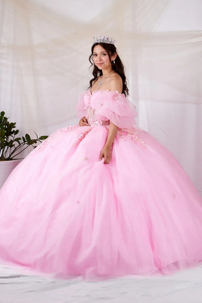 Side View of a woman wearing Soft pink gown with sheer bodice butterfly details and multi-layer lace design