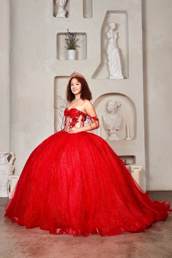 Red quinceañera ball gown with sheer corset bodice, 3D floral embroidery, detachable bow and sparkle tulle