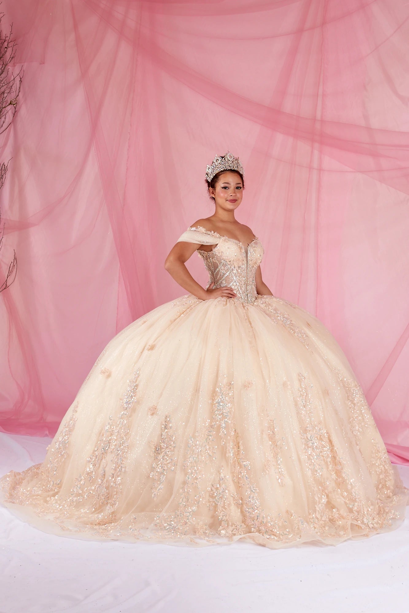 pink champagne quinceanera dresses Quinceañera Ball Gown with 3D Floral Applique L / Champagne Our gowns are reasonably Color:Dk Blue Stripe ASHLEYlauren Two Piece Sequin Men's Lug Soles