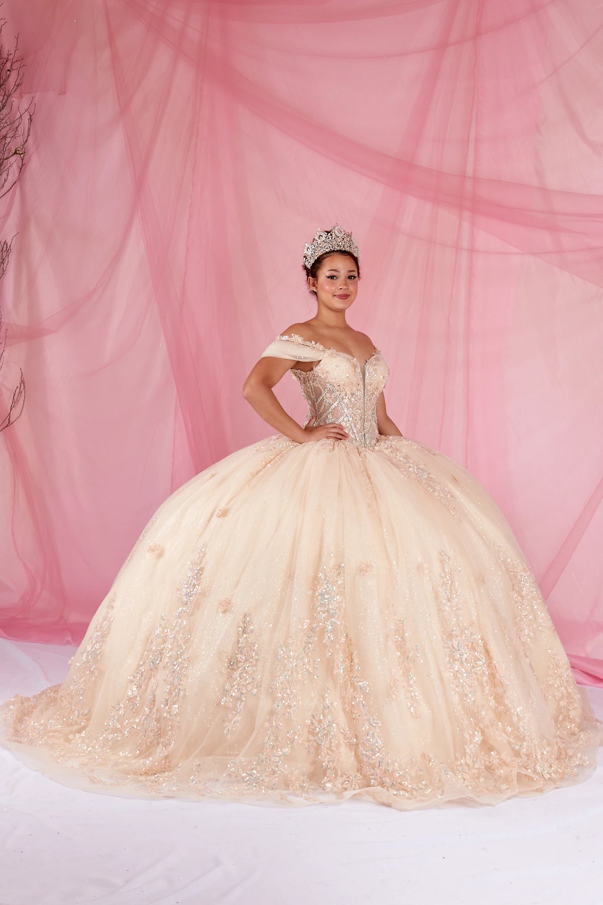Champagne quinceañera ball gown with illusion corset bodice, 3D floral applique and beaded embroidery