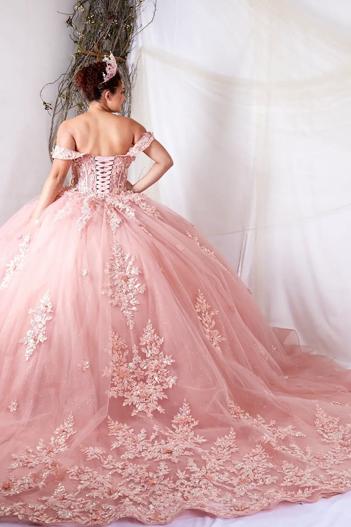 Mauve quinceañera ball gown with illusion corset bodice, 3D floral applique and beaded embroidery