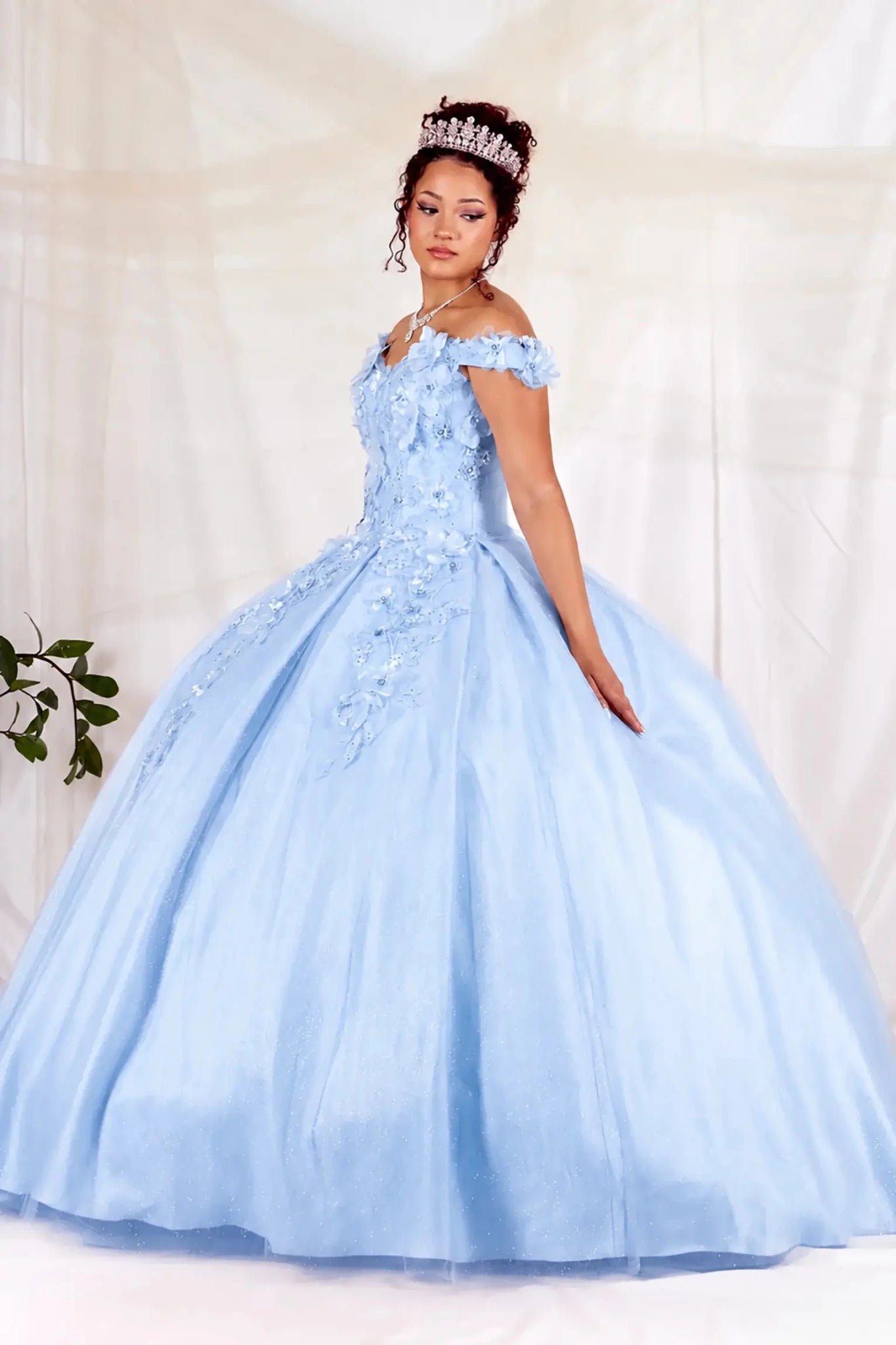 Bahama blue quinceanera ball gown with intricate 3D floral appliqués