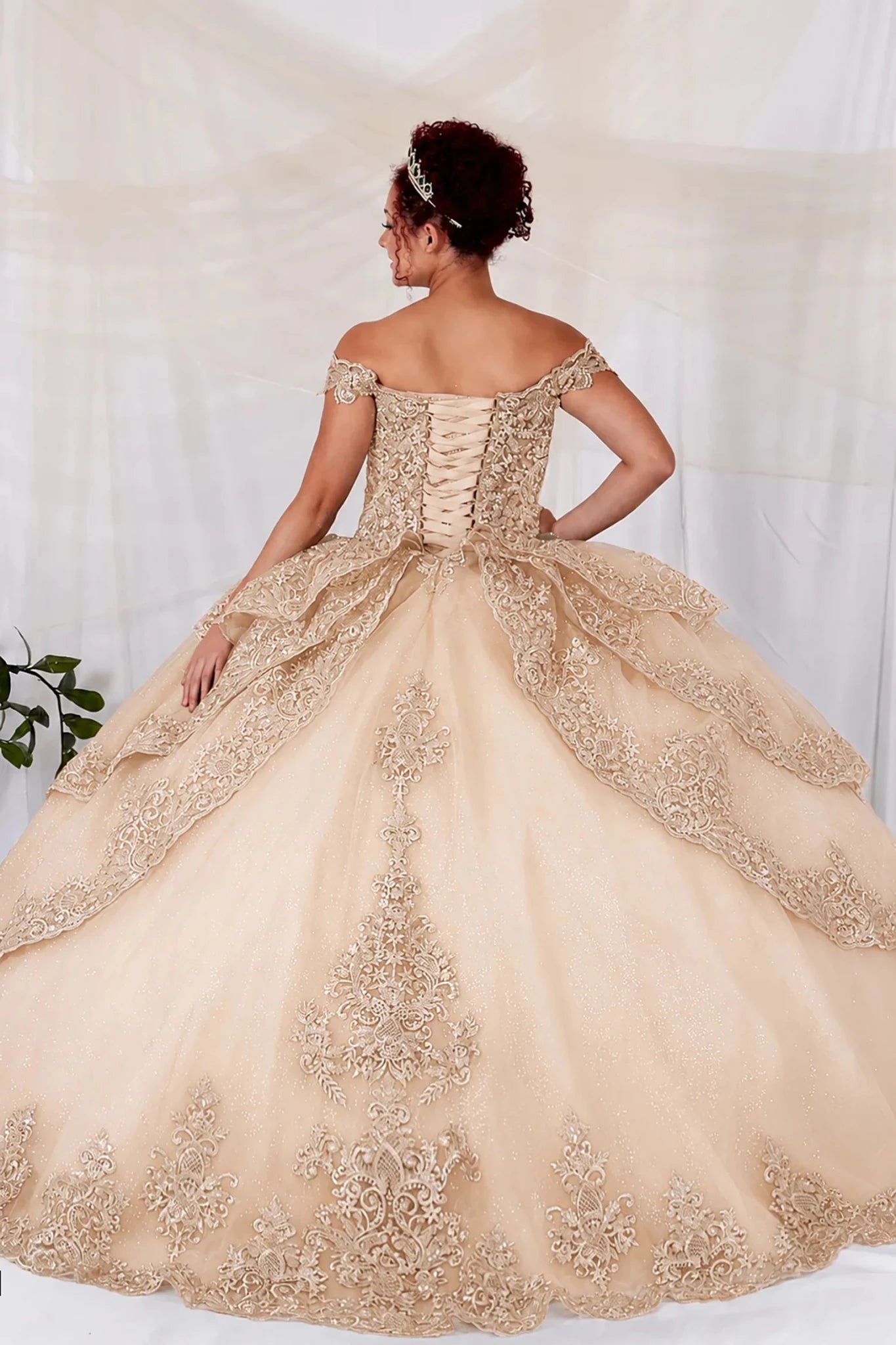 Champagne Quinceañera Ball Gown with Embroidery Details L / Champagne